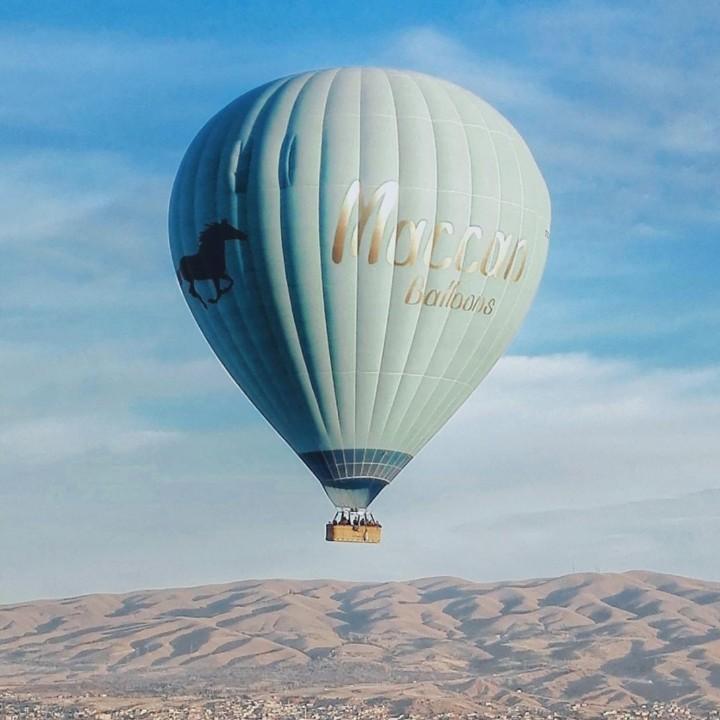 都给花花花，花花花不完