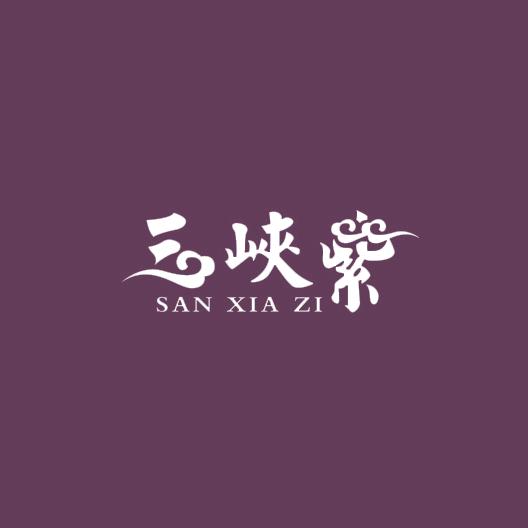 三峡紫黑桑葚小铺