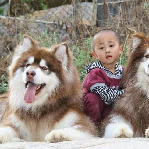 用户1642138047270一花开花落