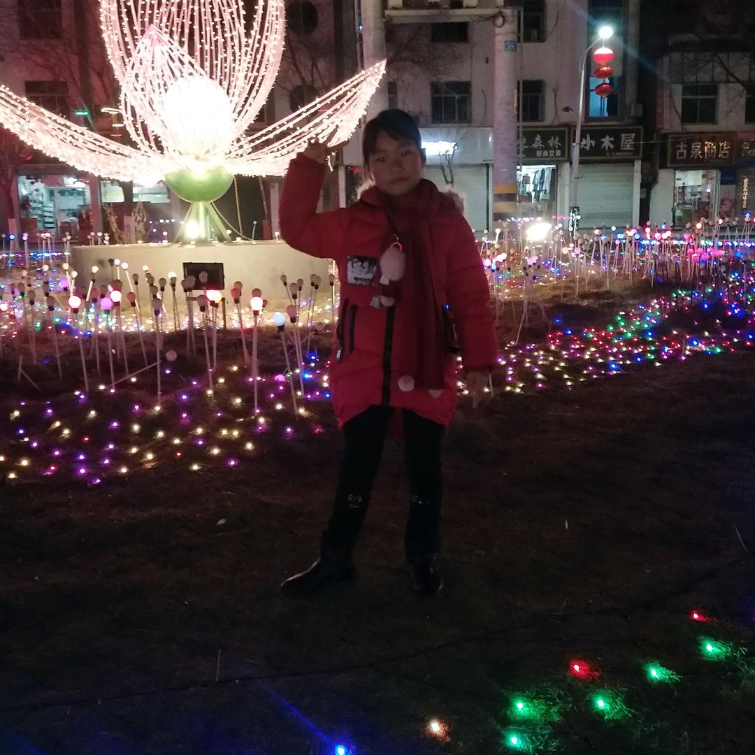 兰花花兰花花