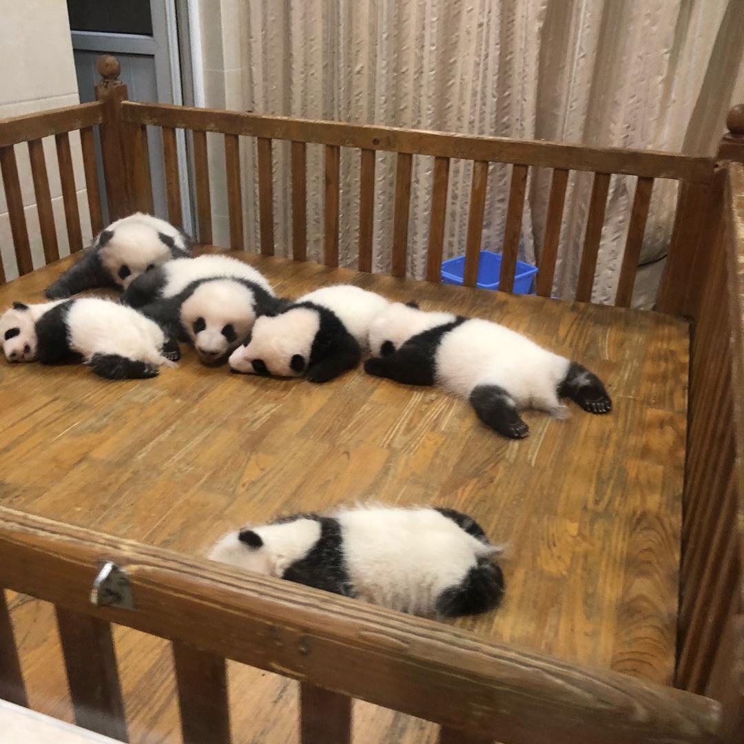 幸福亲子