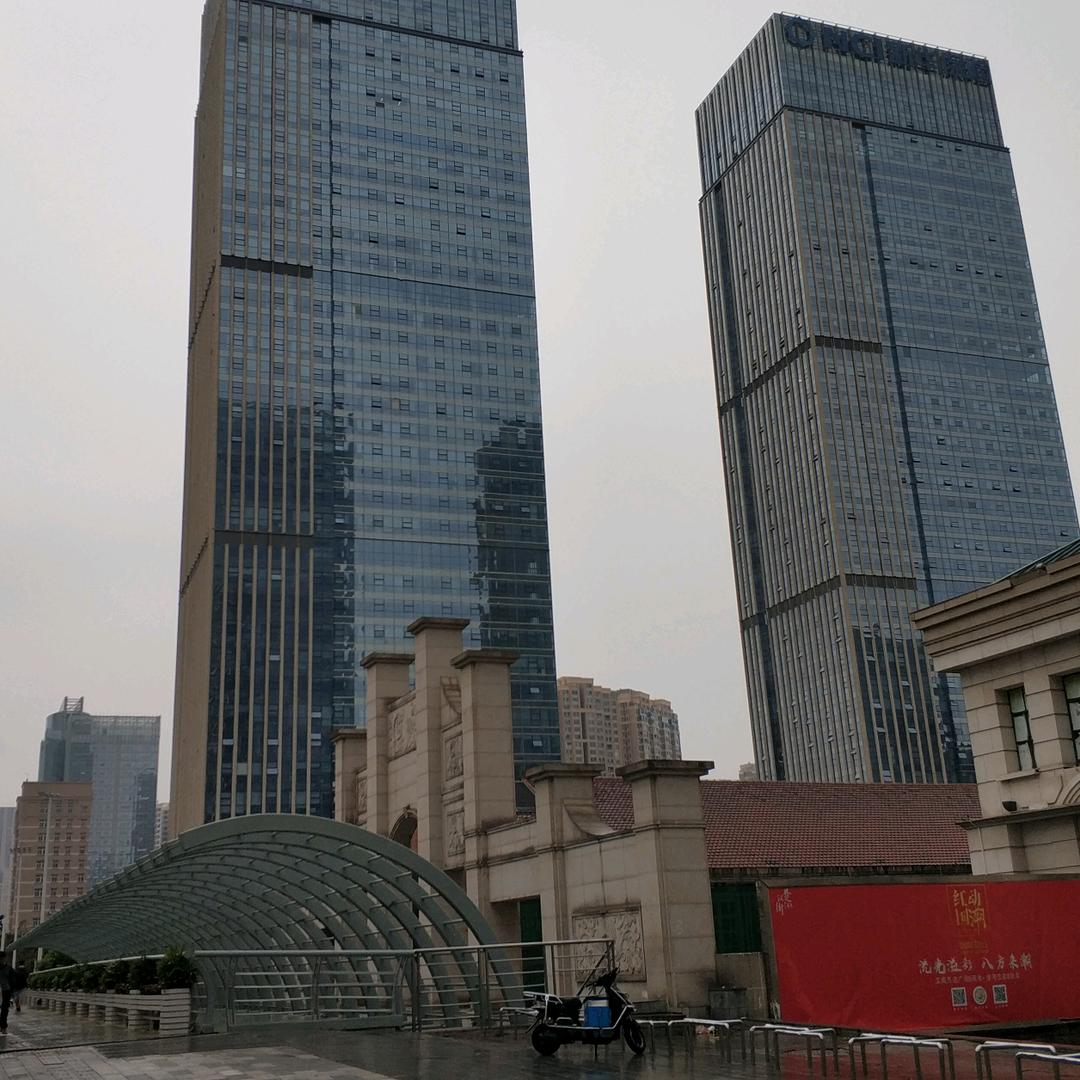 白玉兰
