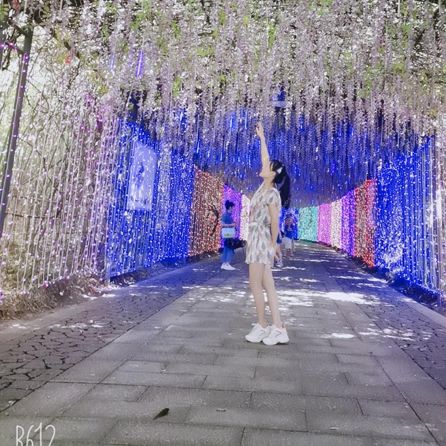 ♡-淼淼-♡