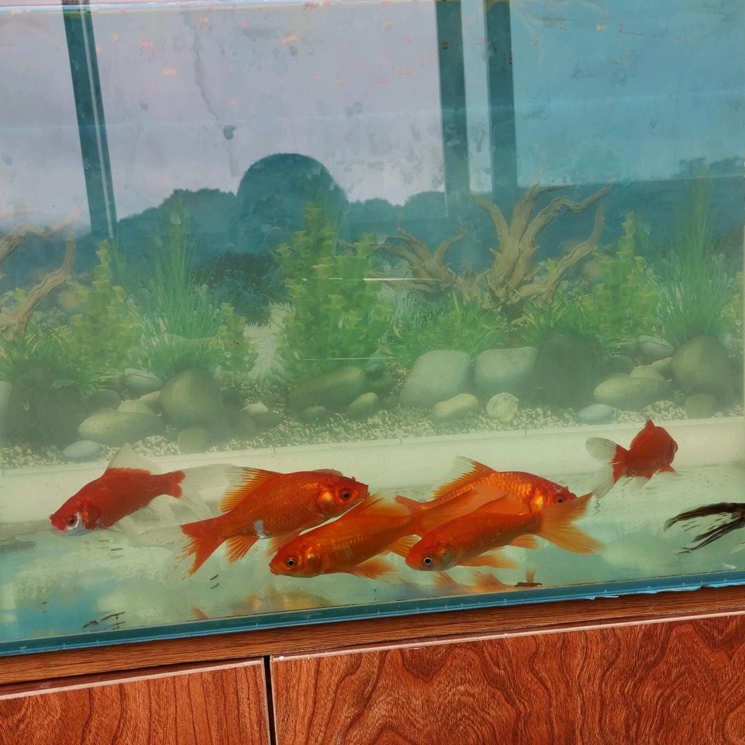 酒是男人的香水