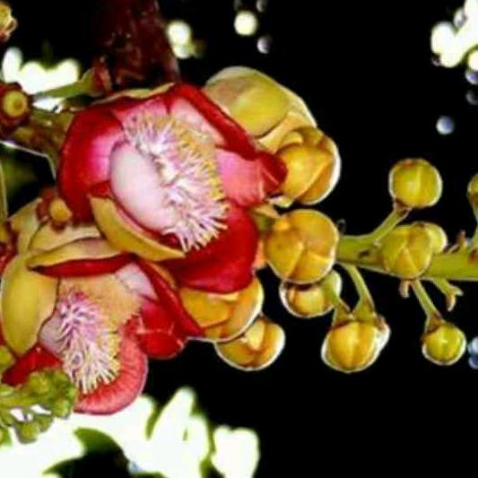 爱美莱平邑浚河路店