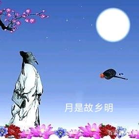 淡泊