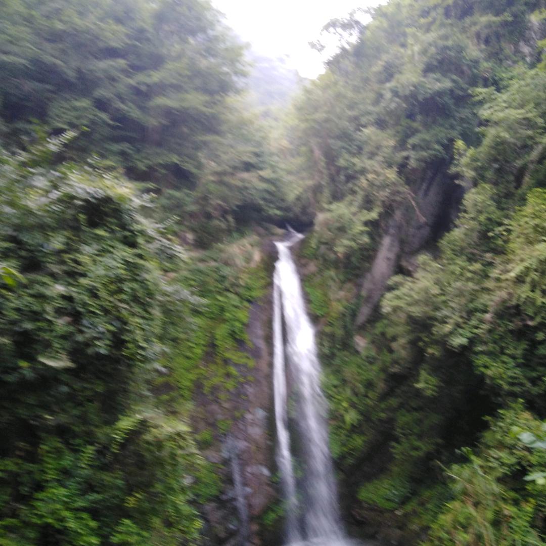 唐泽军