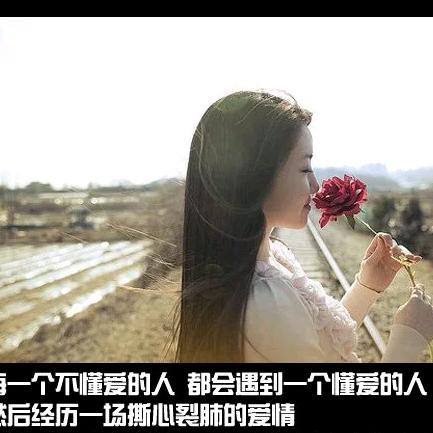 雪莲花