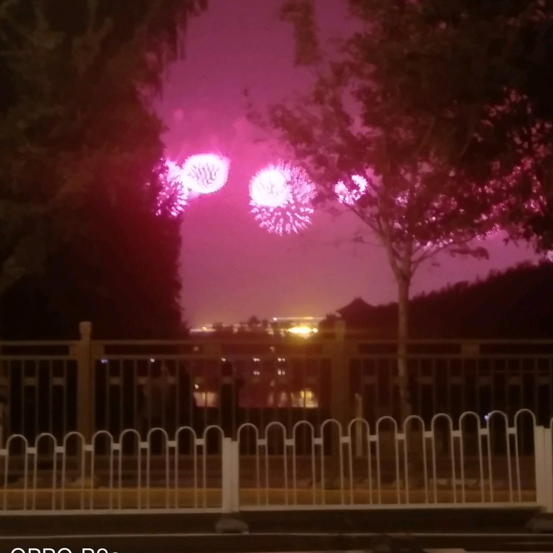 钻石    龙