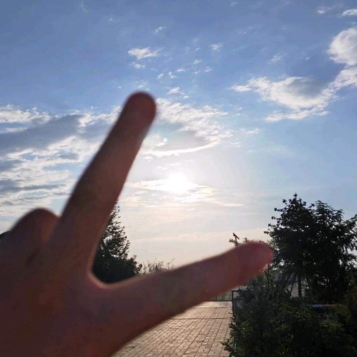 麦冬~