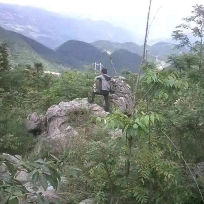 黄永