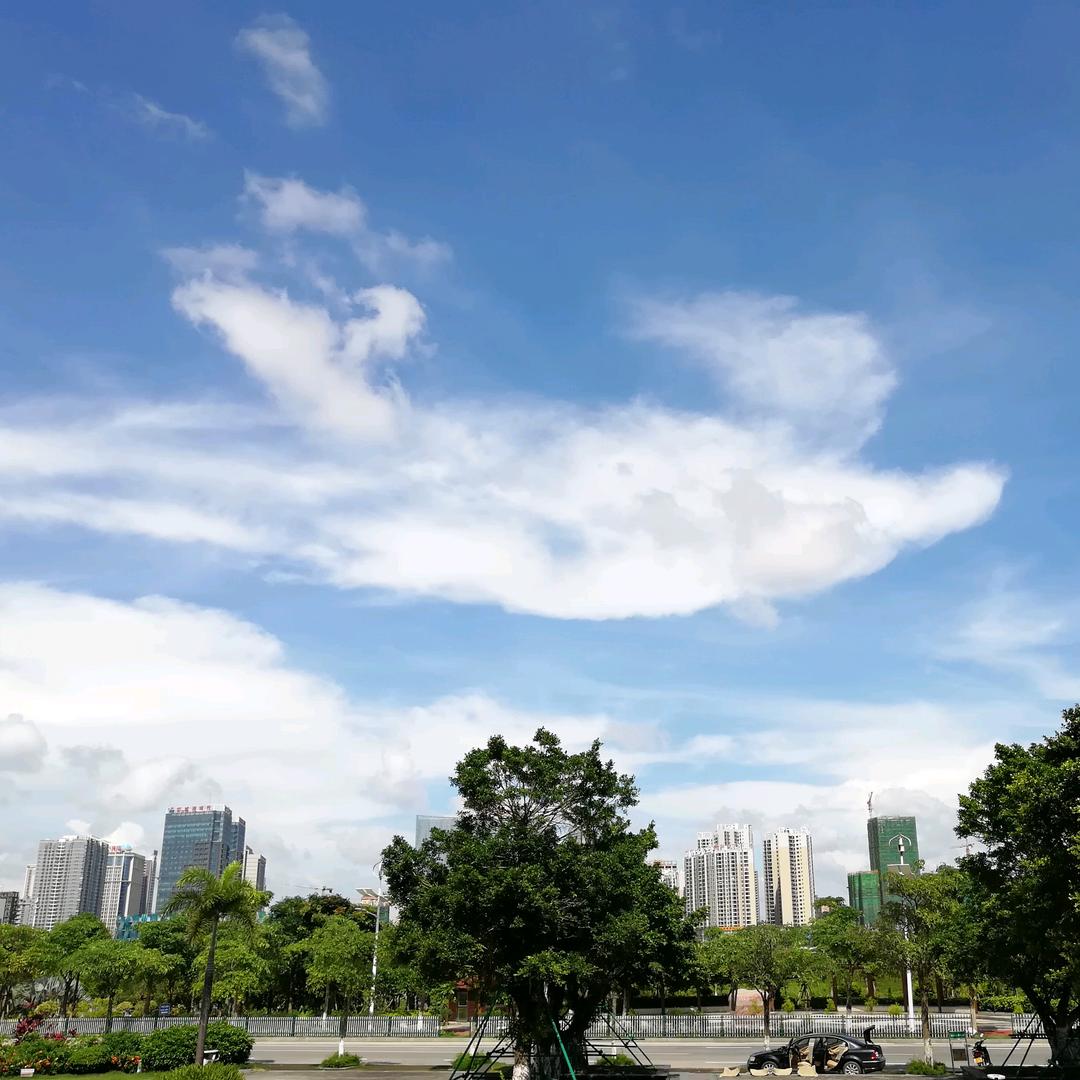 柏润