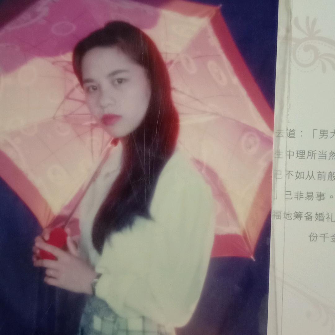 归来的鸿雁