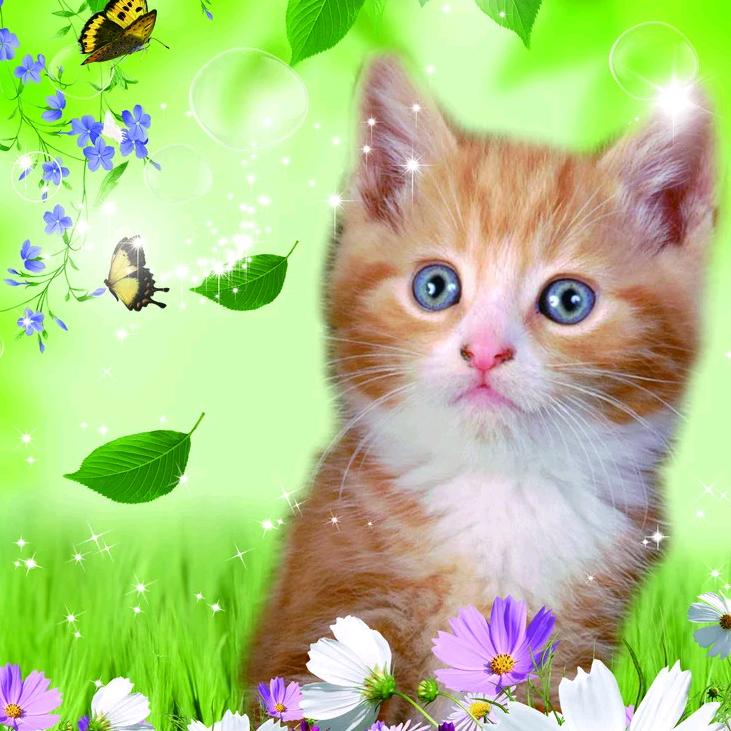 冬天里的一把火