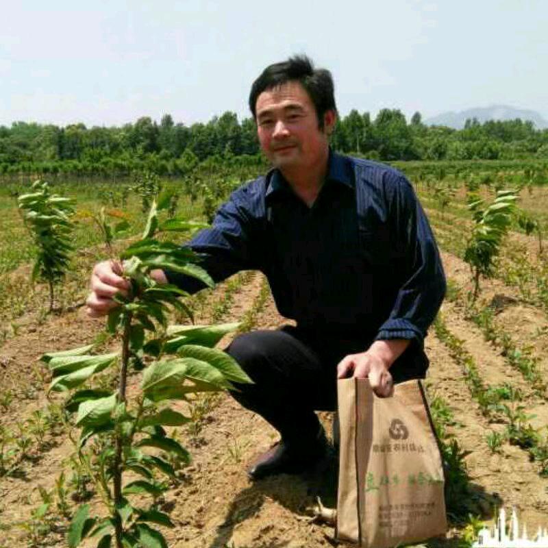 泰安芙柔娜苗木有限责任公司