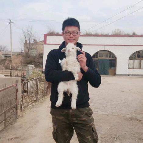 陕北霞姐弟弟李宁