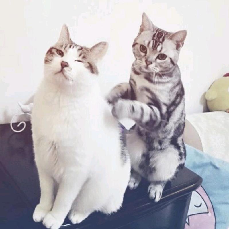 圆圆不圆