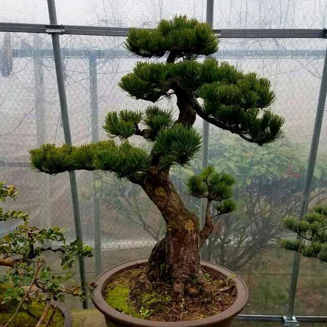 干工地的小哥哥