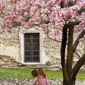 糖果果🍬（橱窗有惊喜）