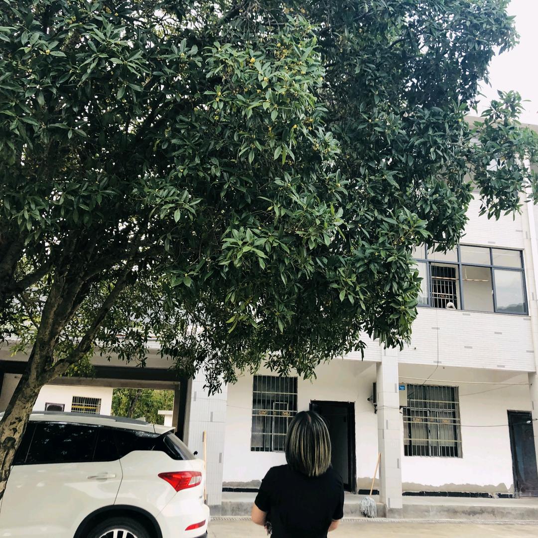 听闻爱情十有九悲🖤