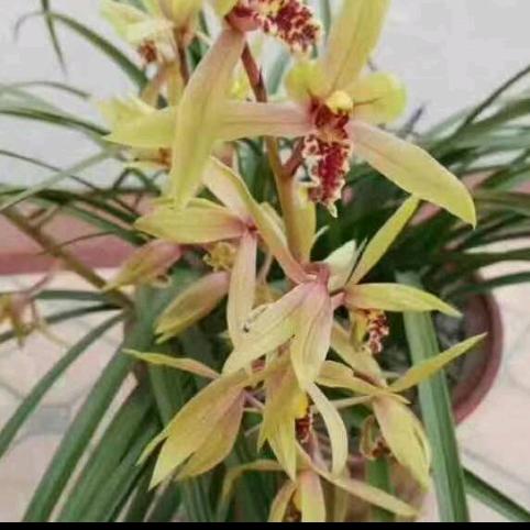 云淡风清