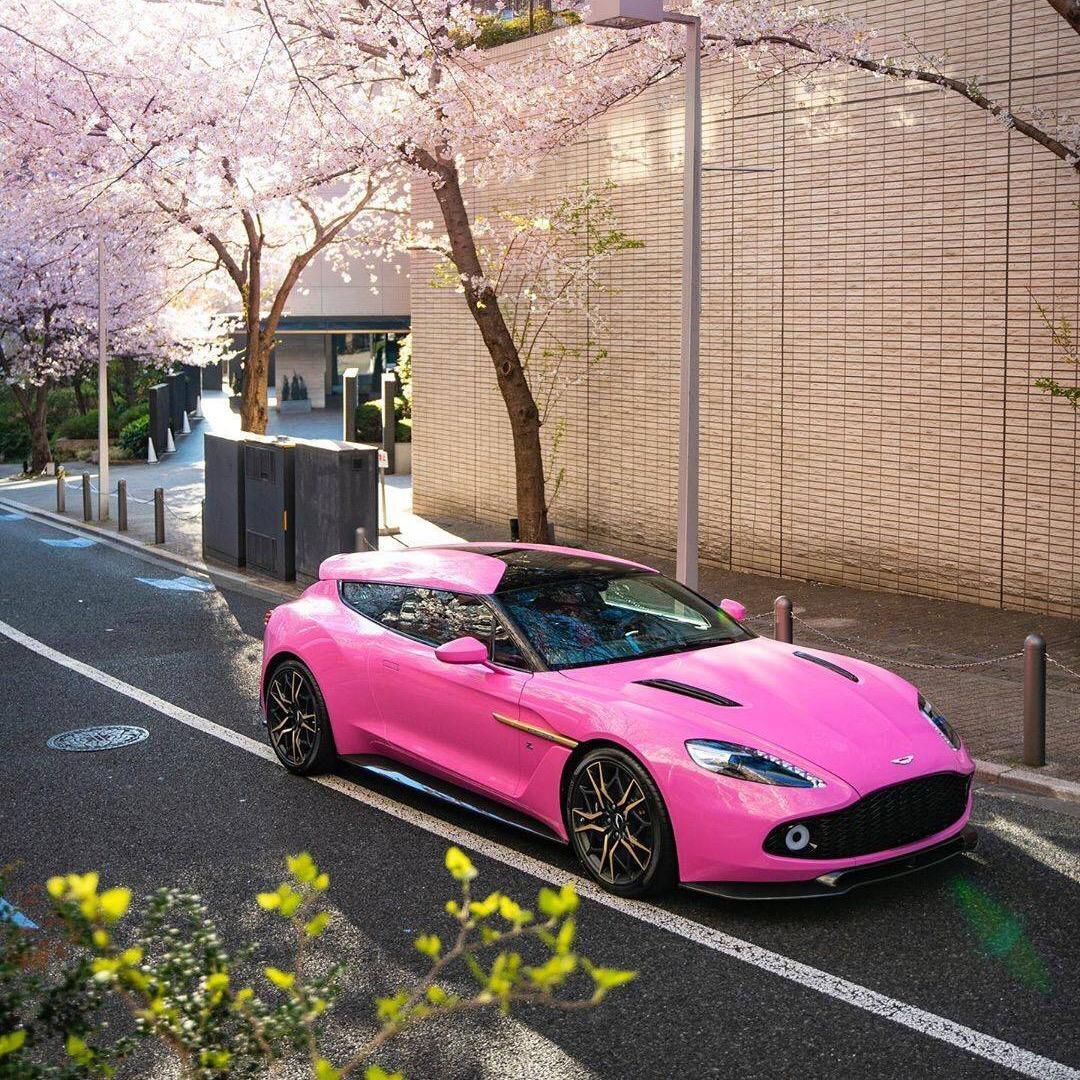 小T涛🏎