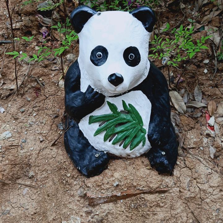 七零后的我