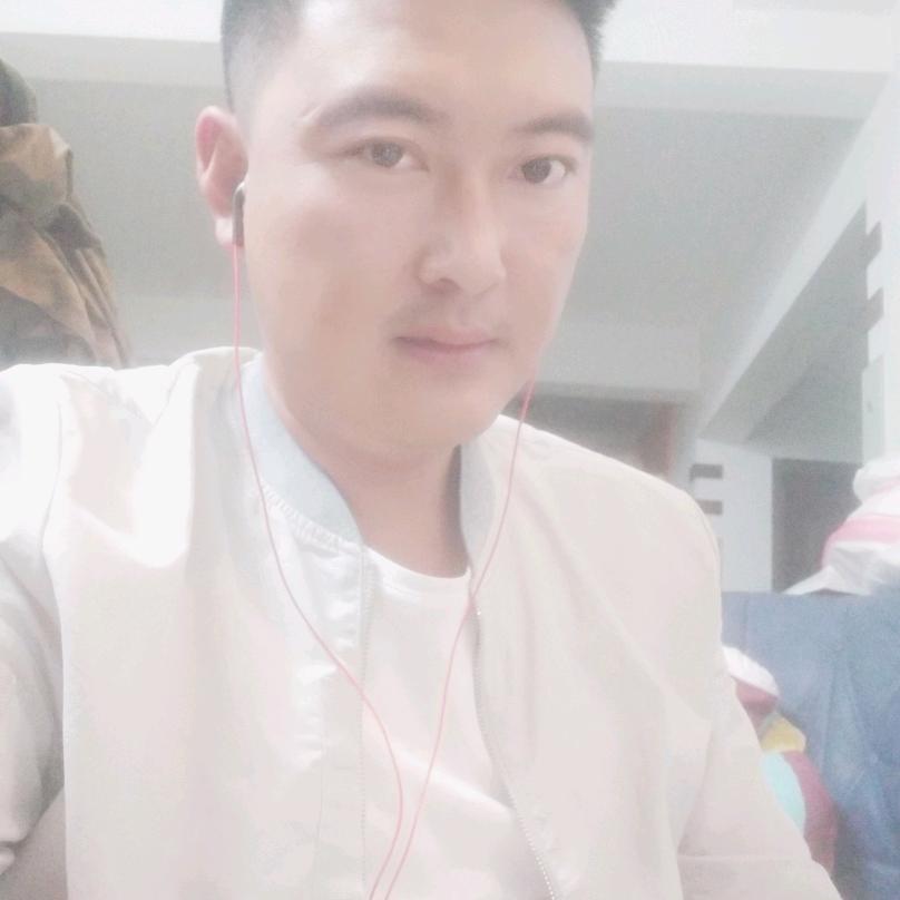 爱唱歌的鸽子