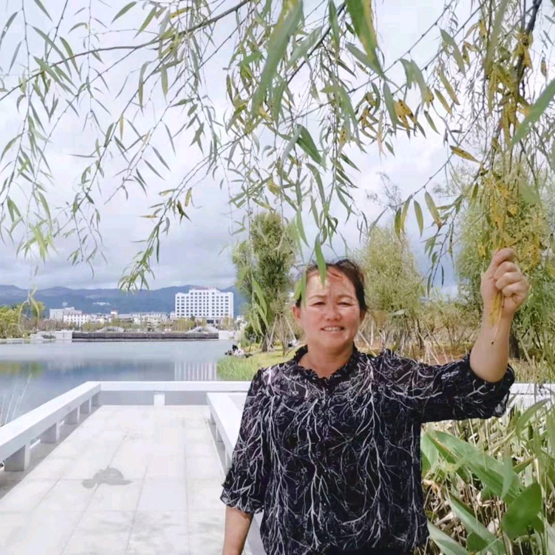小马1237