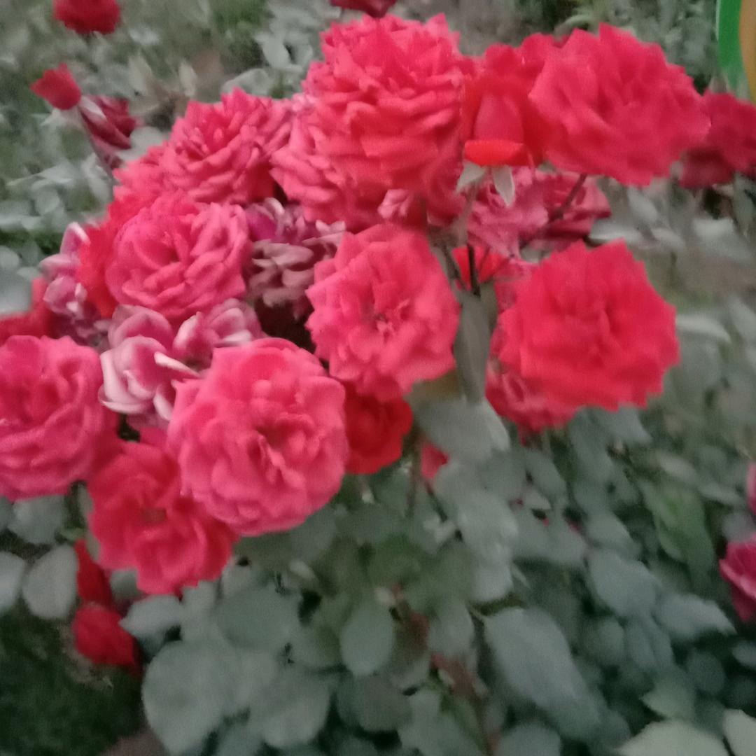 天天开心快乐！