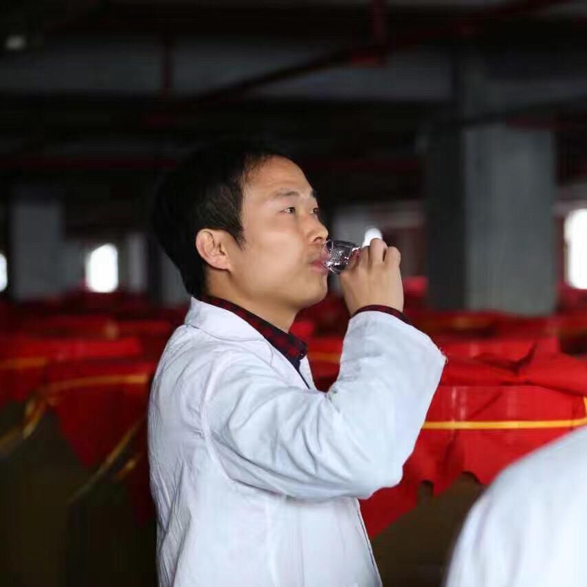 酱香人生/王书伟