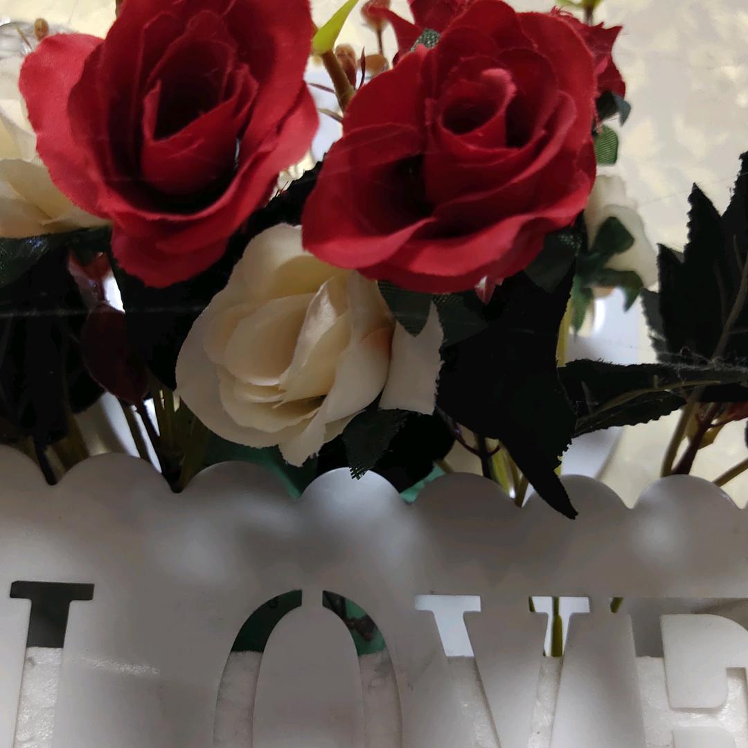 冬天里的白玫瑰