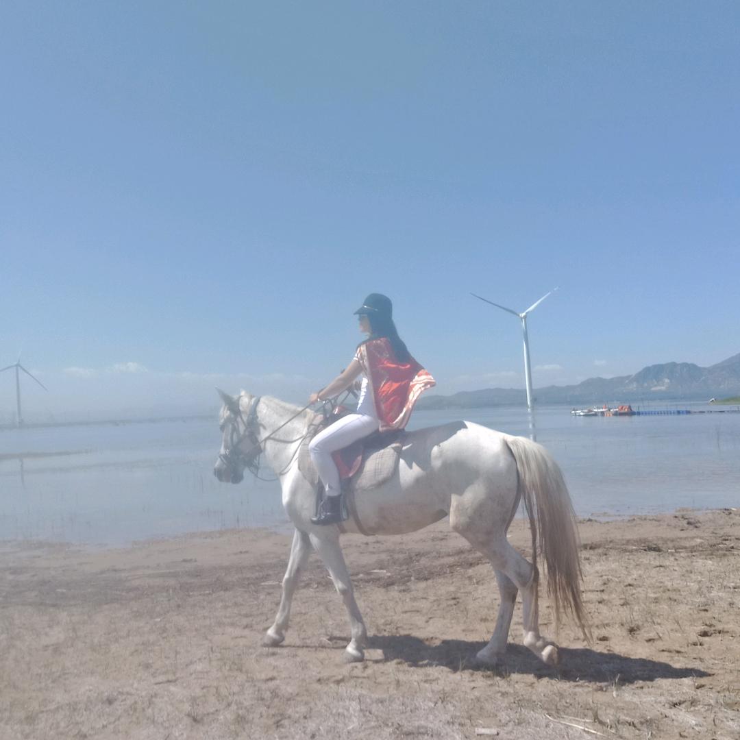 夏阳老师