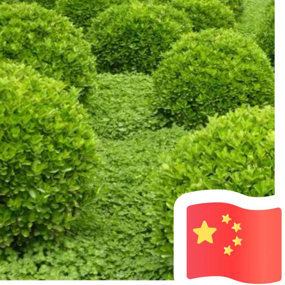 从零开始