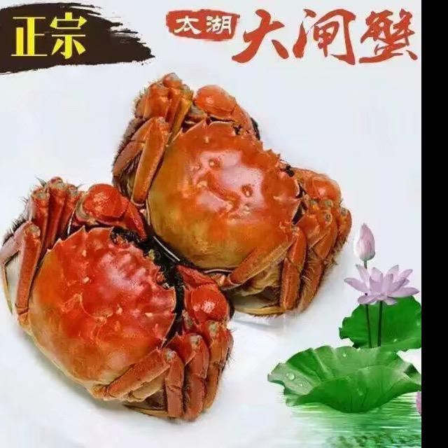 养蟹姑娘卢小儿