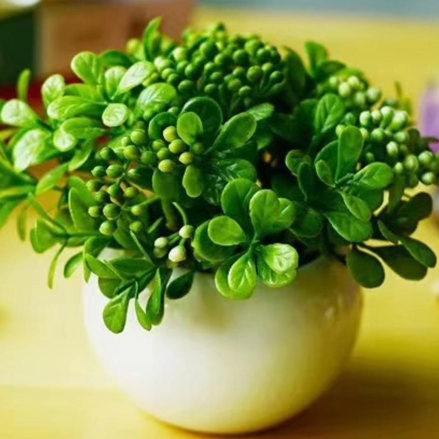 呼吸云朵