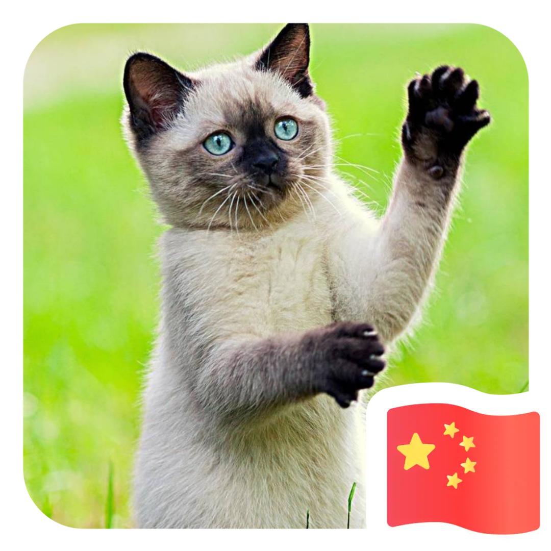 平凡择一人而终身。单身