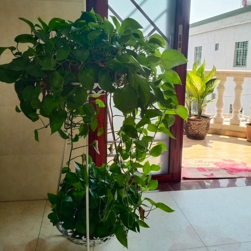 未来更好