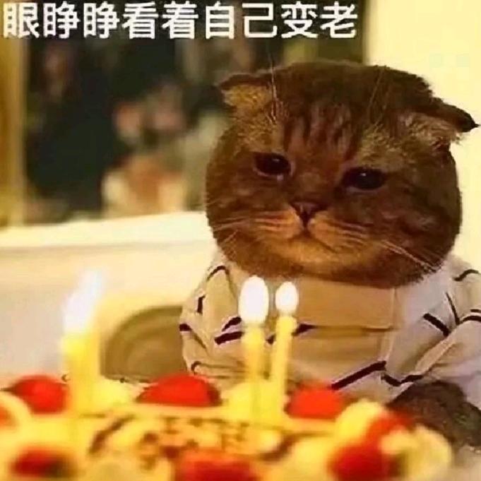 一身快乐😘😘