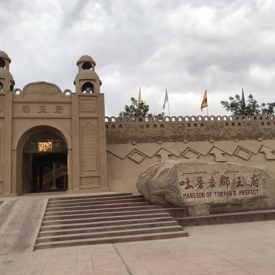大漠胡杨