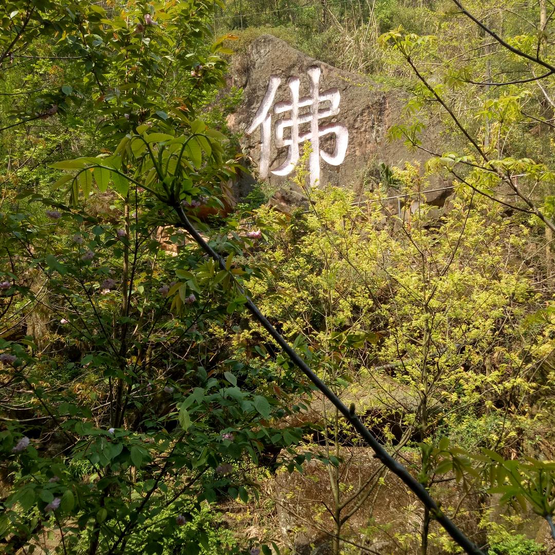 笑看人生