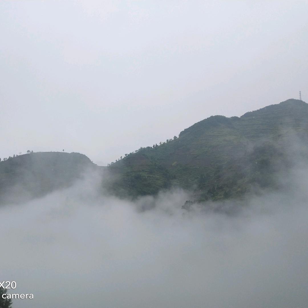 淡定@