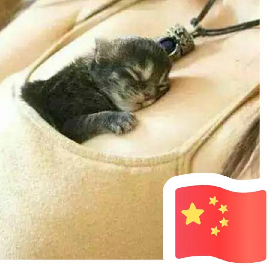 毛毛 💋