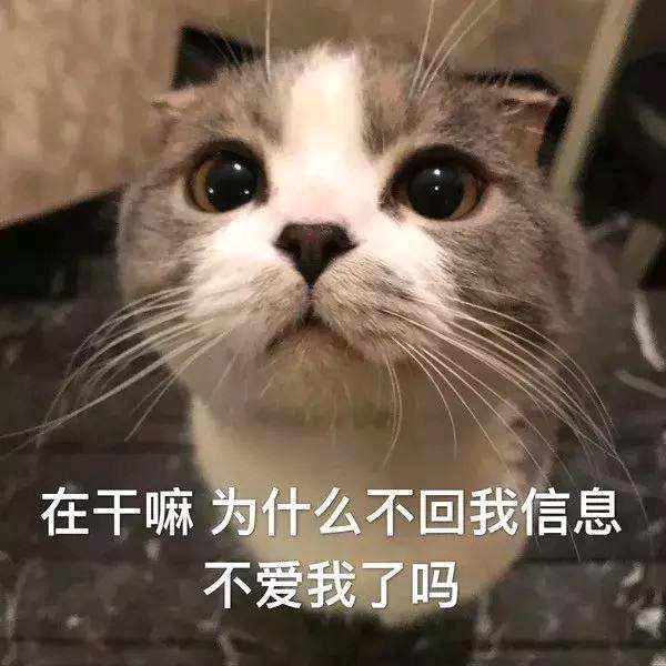 养个狗子叫刚刚