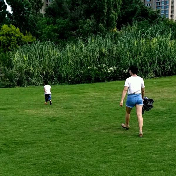 美丽的世界