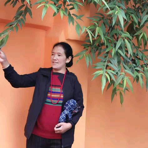边巴拉姆