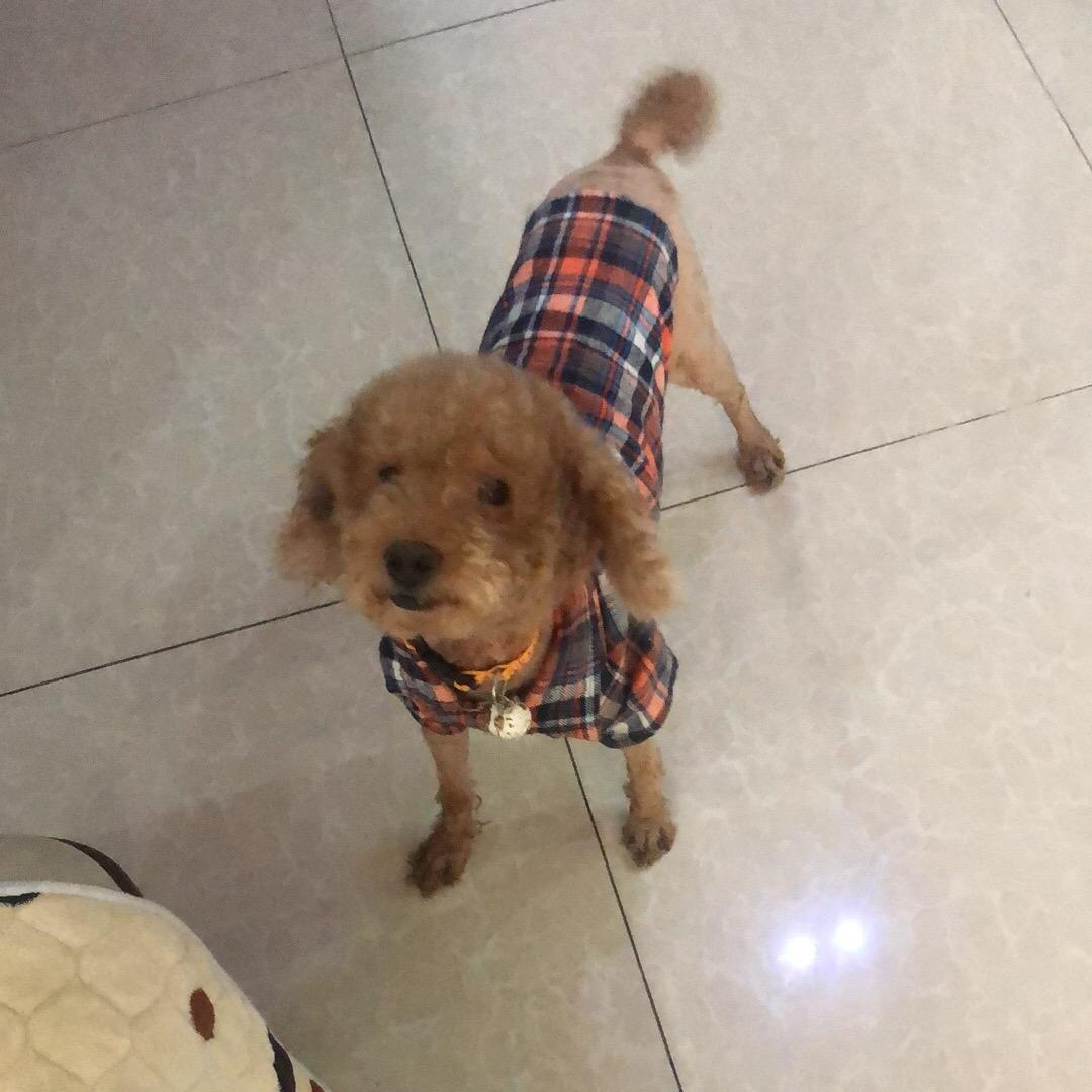随缘