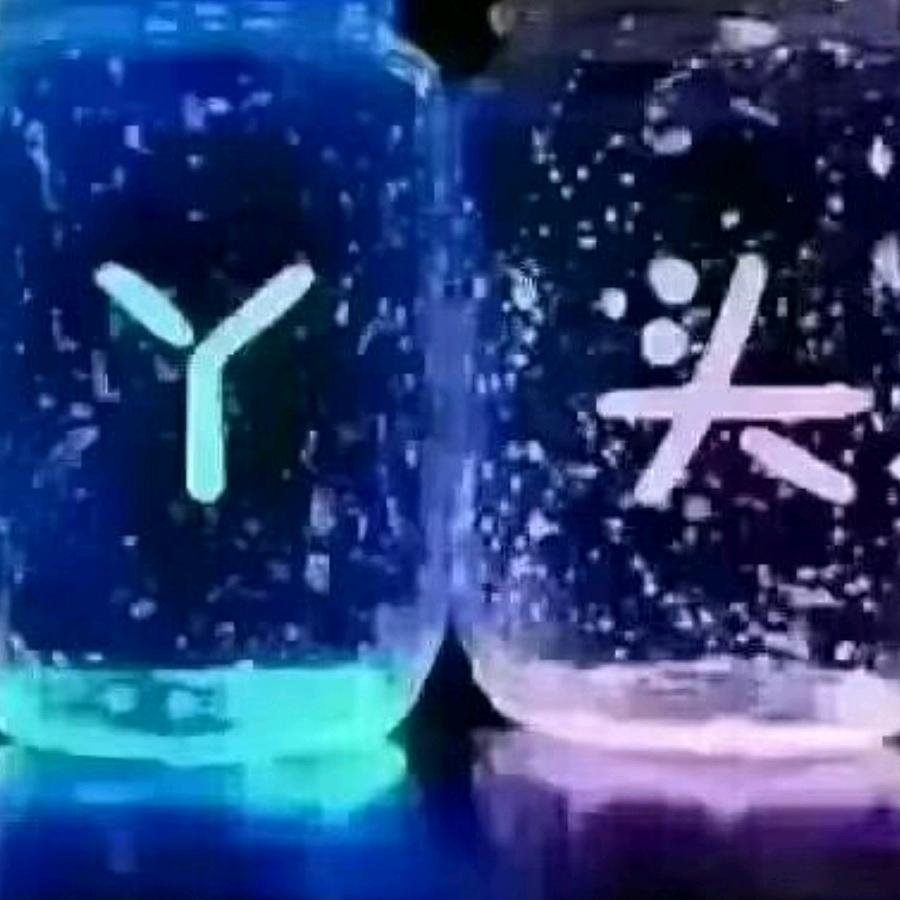 笨妞
