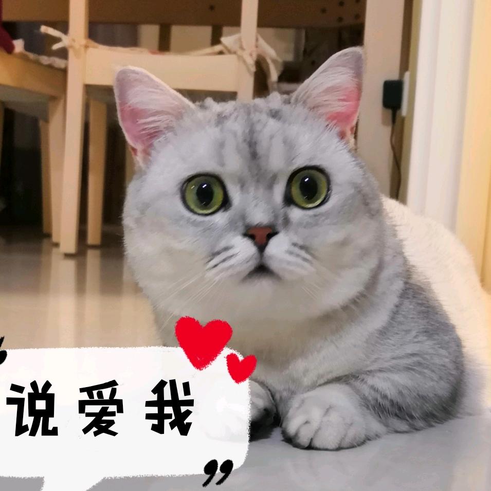 小桥流水（家有七小主）