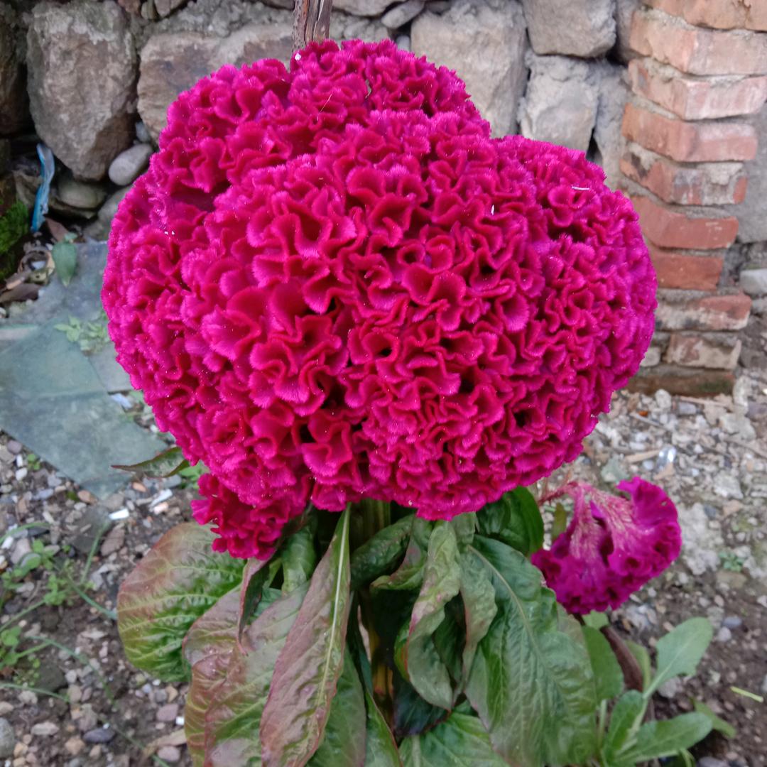 💞᭄᪲ᩚ꯭很幸运꧔ꦿ℘遇见你💕এ⁵²